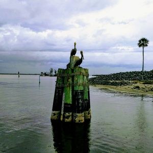 Meet your Posher, Joyce